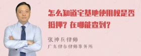 怎么知道宅基地使用权是否抵押？在哪能查到？