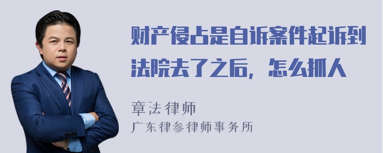 财产侵占是自诉案件起诉到法院去了之后，怎么抓人