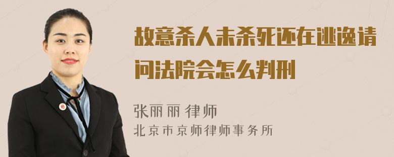 故意杀人未杀死还在逃逸请问法院会怎么判刑