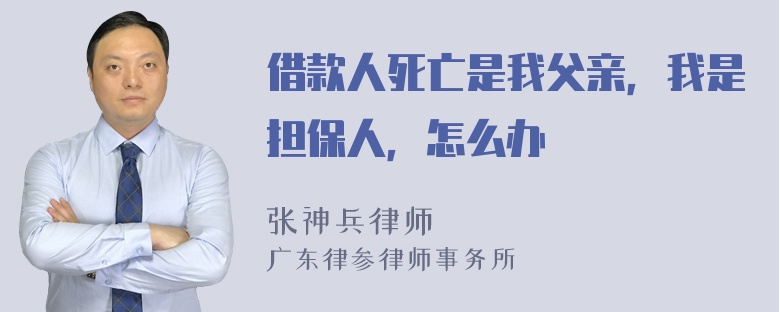 借款人死亡是我父亲，我是担保人，怎么办