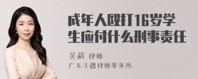 成年人殴打16岁学生应付什么刑事责任