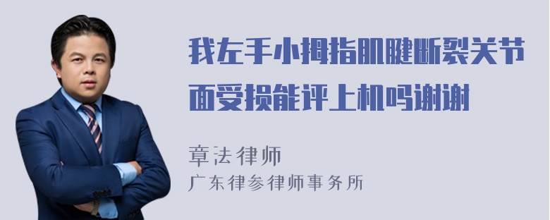 我左手小拇指肌腱断裂关节面受损能评上机吗谢谢