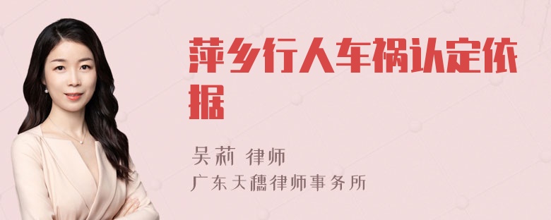 萍乡行人车祸认定依据