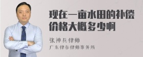 现在一亩水田的补偿价格大概多少啊