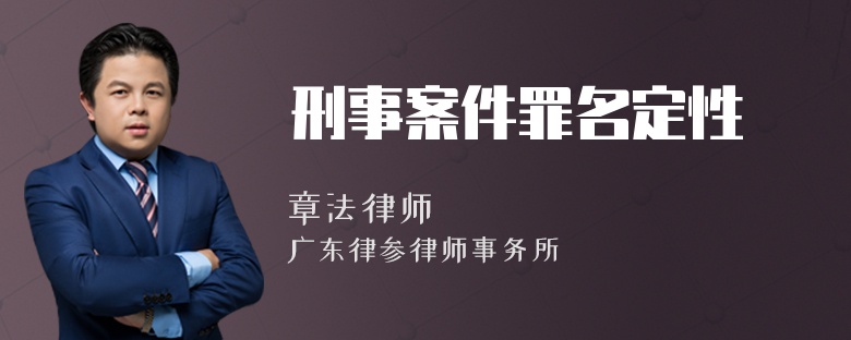 刑事案件罪名定性