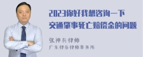 2023你好我想咨询一下交通肇事死亡赔偿金的问题