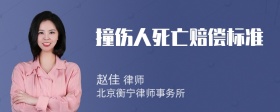 撞伤人死亡赔偿标准