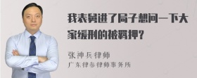 我表舅进了局子想问一下大家缓刑的被羁押？