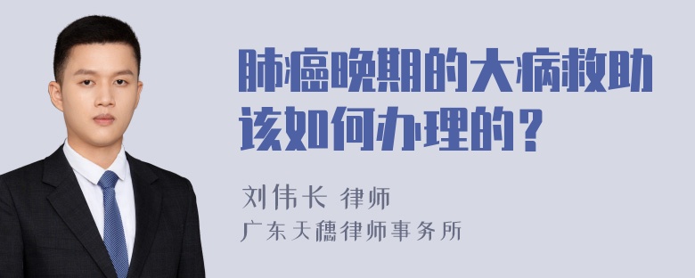 肺癌晚期的大病救助该如何办理的？