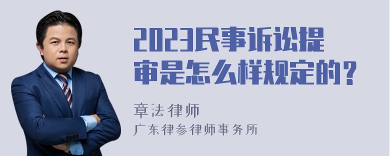 2023民事诉讼提审是怎么样规定的？