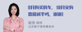 9月购买的车，10月交购置税减半吗，谢谢！