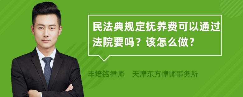 民法典规定抚养费可以通过法院要吗？该怎么做？