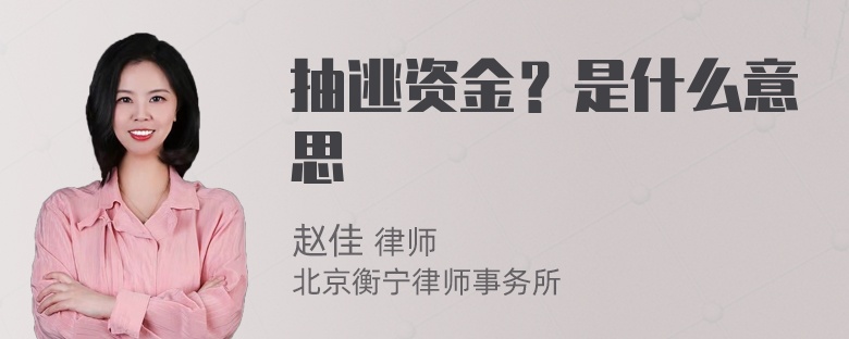 抽逃资金？是什么意思