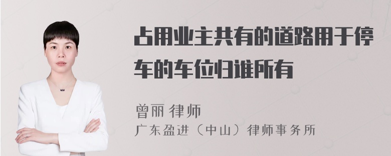 占用业主共有的道路用于停车的车位归谁所有