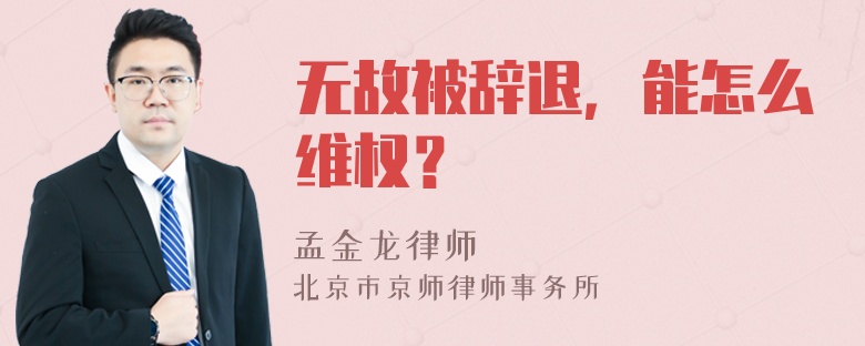 无故被辞退，能怎么维权？