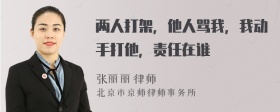 两人打架，他人骂我，我动手打他，责任在谁