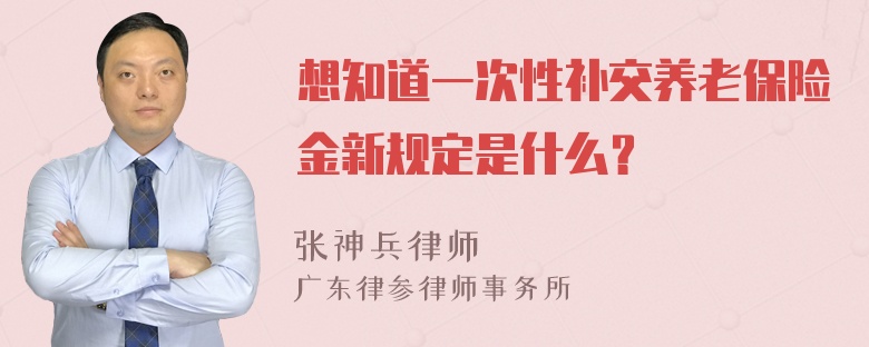 想知道一次性补交养老保险金新规定是什么？