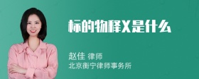 标的物释X是什么