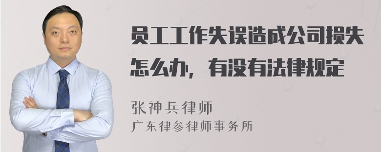 员工工作失误造成公司损失怎么办，有没有法律规定