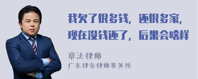 我欠了很多钱，还很多家，现在没钱还了，后果会啥样