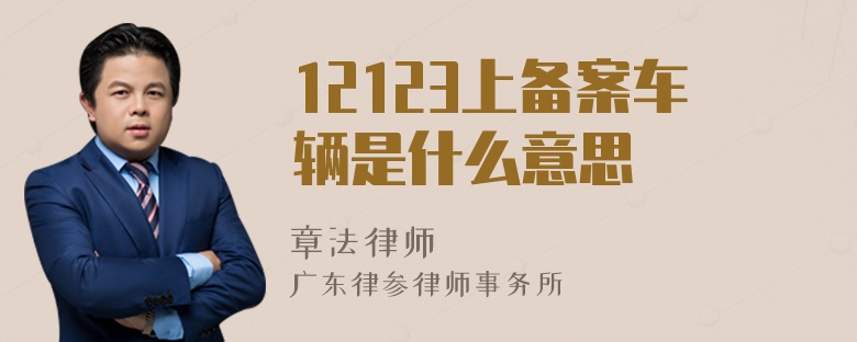 12123上备案车辆是什么意思