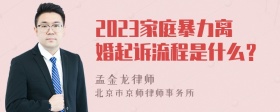 2023家庭暴力离婚起诉流程是什么？