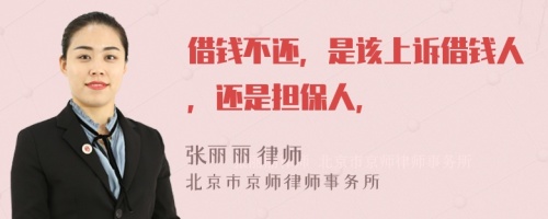 借钱不还，是该上诉借钱人，还是担保人，