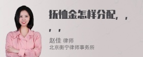 抚恤金怎样分配，，，，