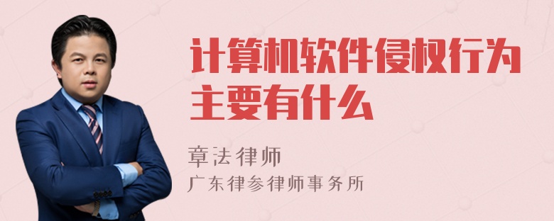 计算机软件侵权行为主要有什么