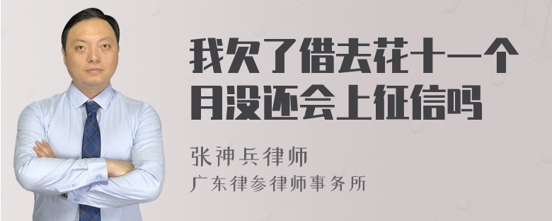 我欠了借去花十一个月没还会上征信吗