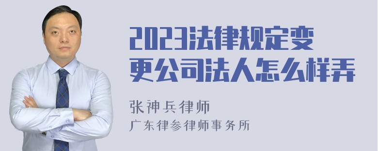 2023法律规定变更公司法人怎么样弄