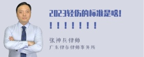 2023轻伤的标准是啥！！！！！！！！