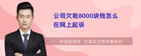 公司欠我8000块钱怎么在网上起诉