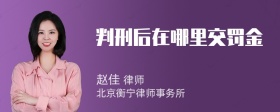 判刑后在哪里交罚金