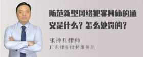 防范新型网络犯罪具体的涵义是什么？怎么处罚的？