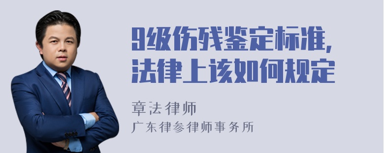 9级伤残鉴定标准，法律上该如何规定