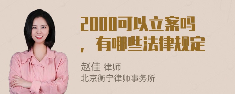 2000可以立案吗，有哪些法律规定