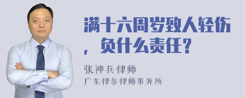 满十六周岁致人轻伤，负什么责任？