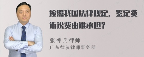 按照我国法律规定，鉴定费诉讼费由谁承担？