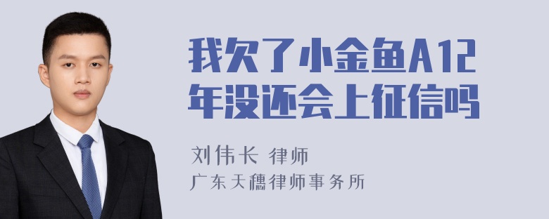 我欠了小金鱼A12年没还会上征信吗