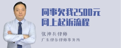 同事欠我2500元网上起诉流程