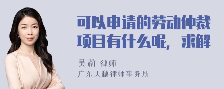 可以申请的劳动仲裁项目有什么呢，求解