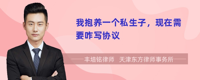 我抱养一个私生子，现在需要咋写协议