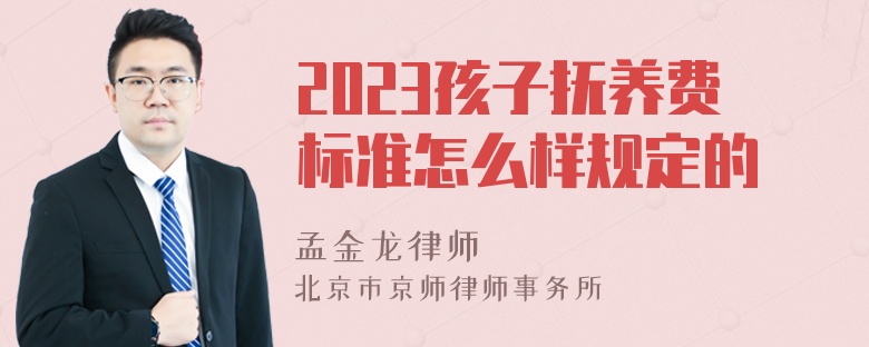 2023孩子抚养费标准怎么样规定的