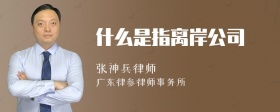 什么是指离岸公司