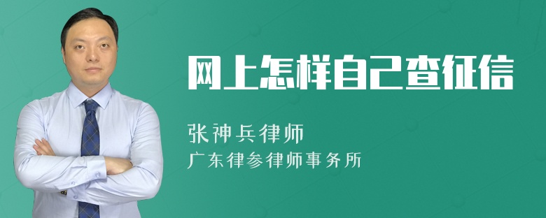 网上怎样自己查征信