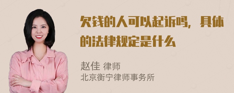 欠钱的人可以起诉吗，具体的法律规定是什么