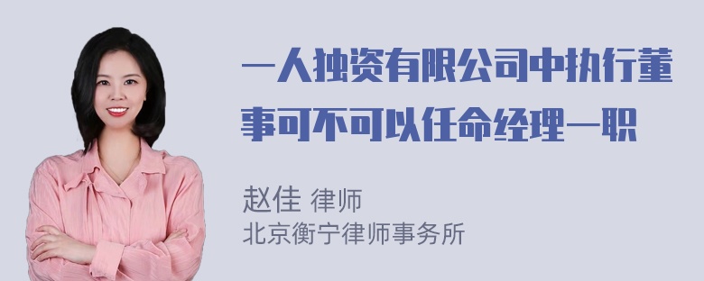 一人独资有限公司中执行董事可不可以任命经理一职