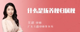 什么是抚养权归属权