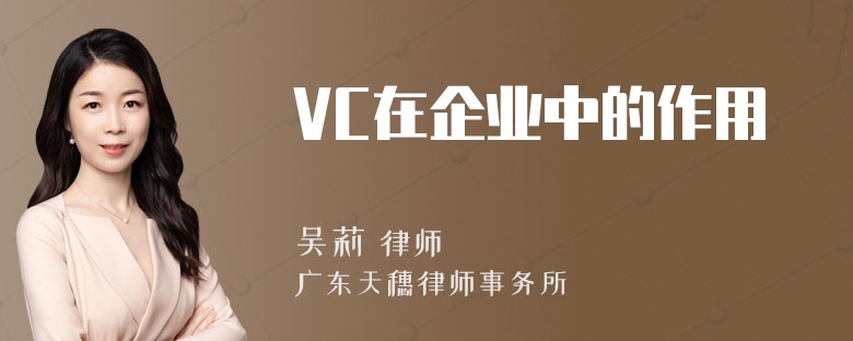 VC在企业中的作用